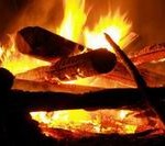 дрова для шашлыка