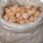 яичная скорлупа