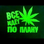 Все идет по плану
