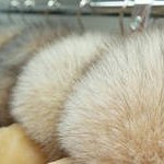 как хранить зимние вещи