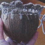 Кашпо из кокоса