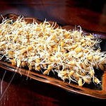 проросшая пшеница